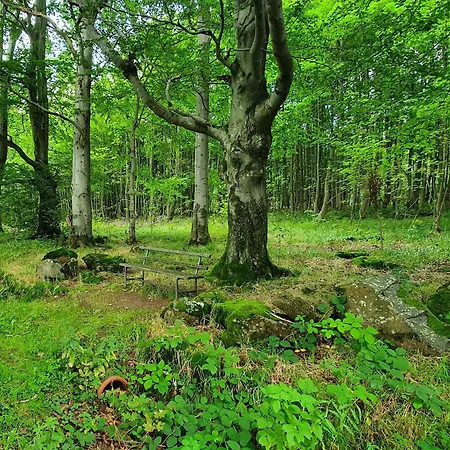Landidylle