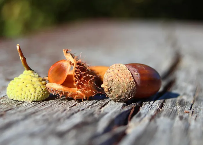 Πανδοχείο Landidylle *